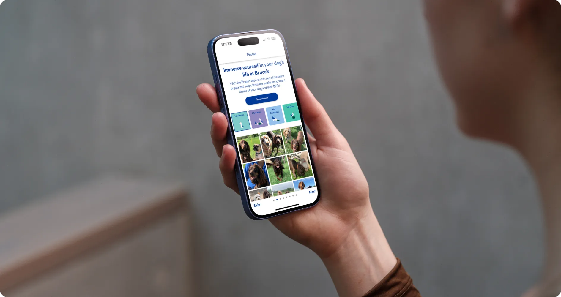 Bruce's Doggy Day Care — project imagery
