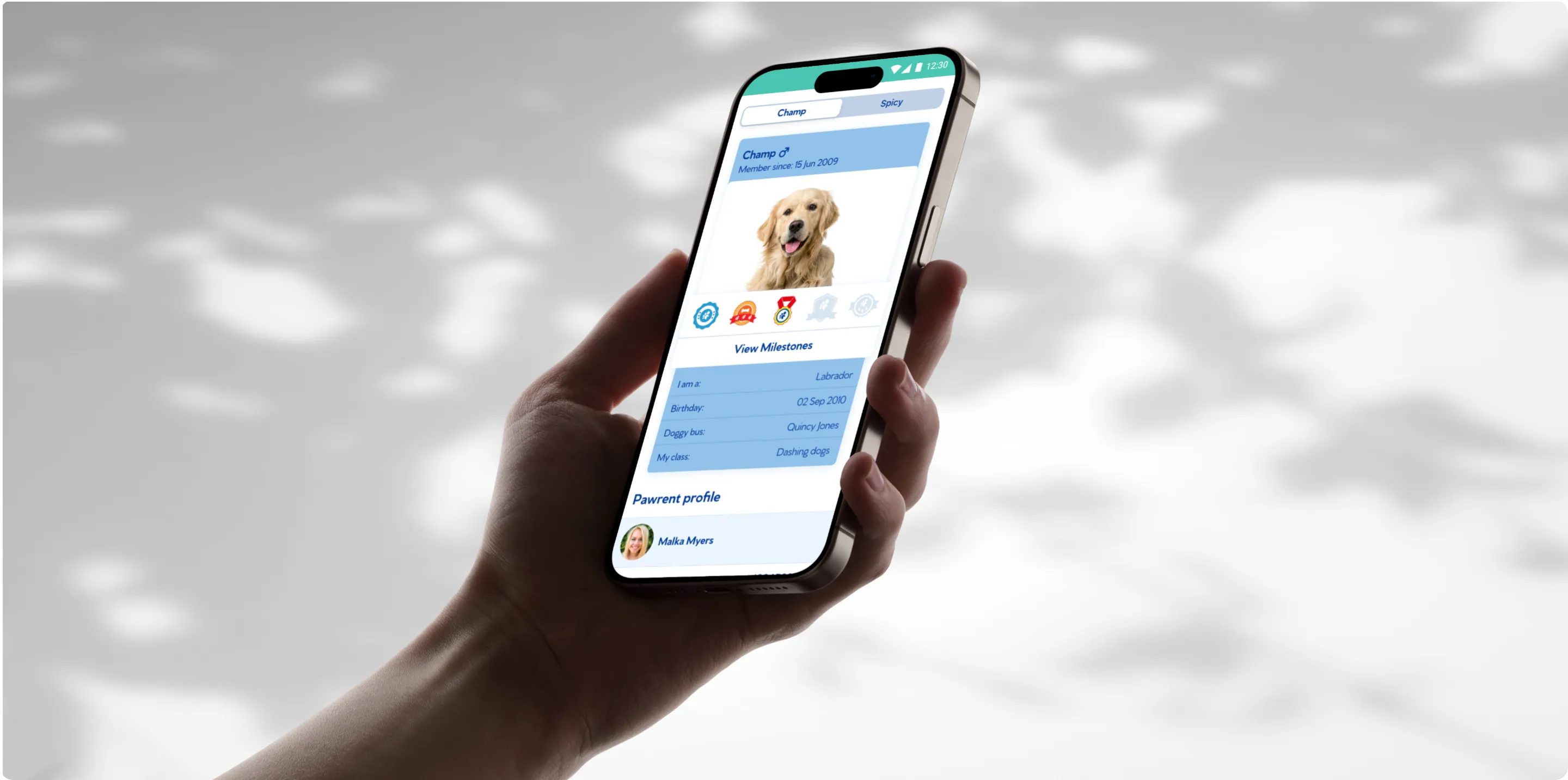 Bruce's Doggy Day Care — Bitcube case study